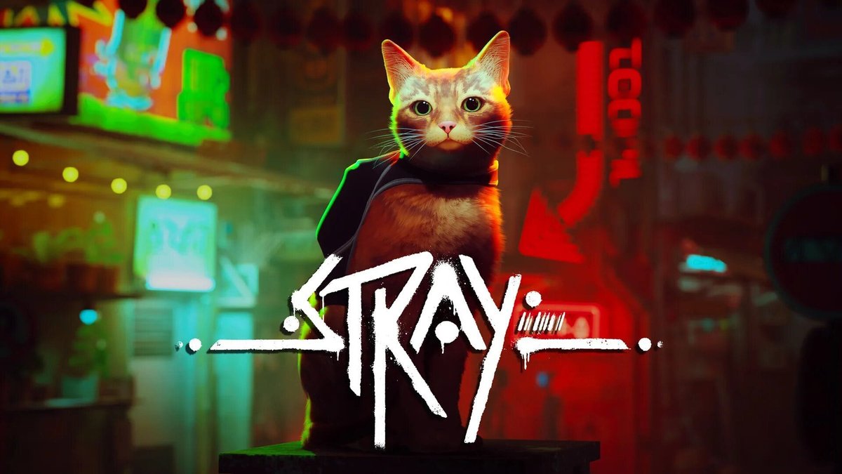 Stray_AssoTheProject | Association The Project
